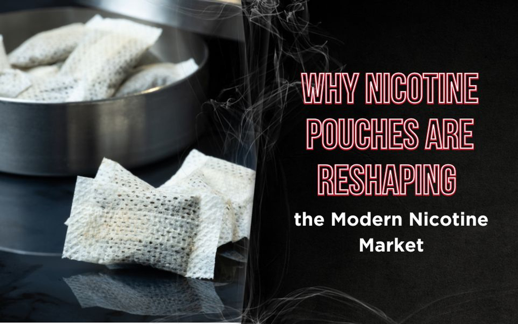 Why Nicotine Pouches Are Reshaping the Modern Nicotine Market