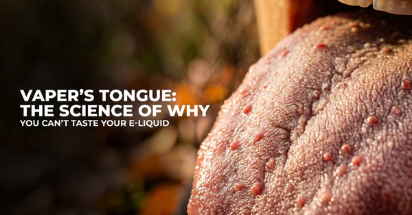 Vaper’s Tongue: The Science of Why You Can’t Taste Your E-Liquid