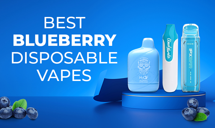 BEST BLUEBERRY DISPOSABLE VAPES