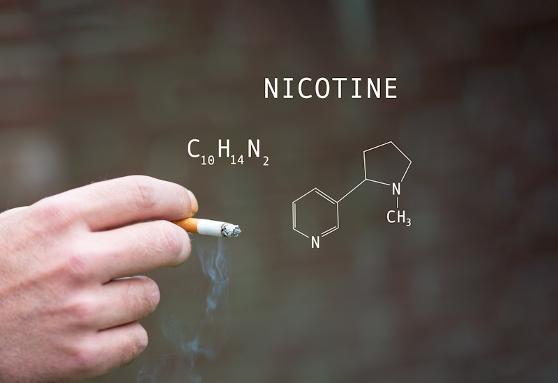 Nicotine Receives Clean Bill of Health