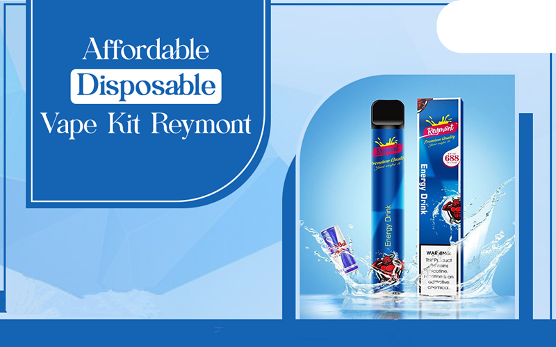 Affordable Disposable Vape Kit Reymont