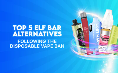 Top 5 Elf Bar Alternatives Following the Disposable Vape Ban