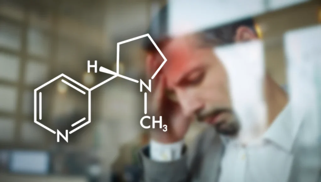 Nicotine is Harmful for the Developing Brain – Or is it?