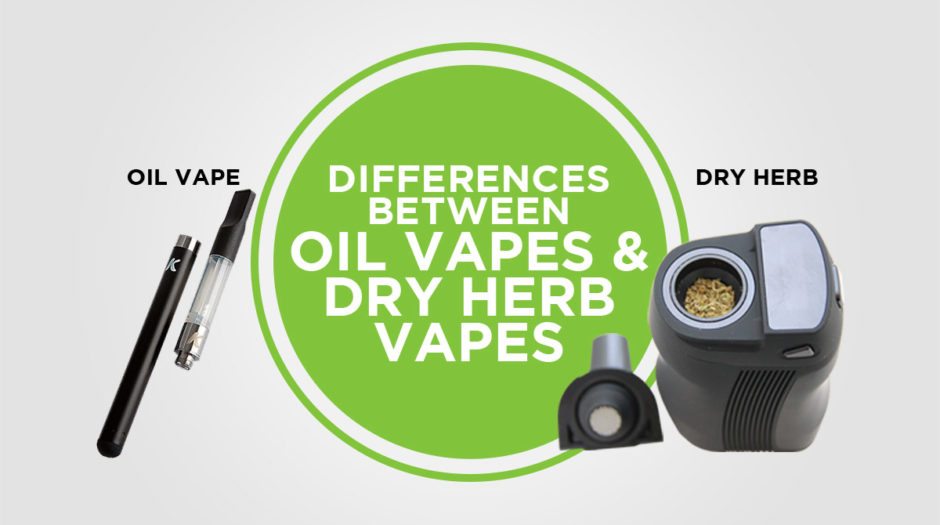 Differences Between Oil Vapes and Dry Herb Vapes