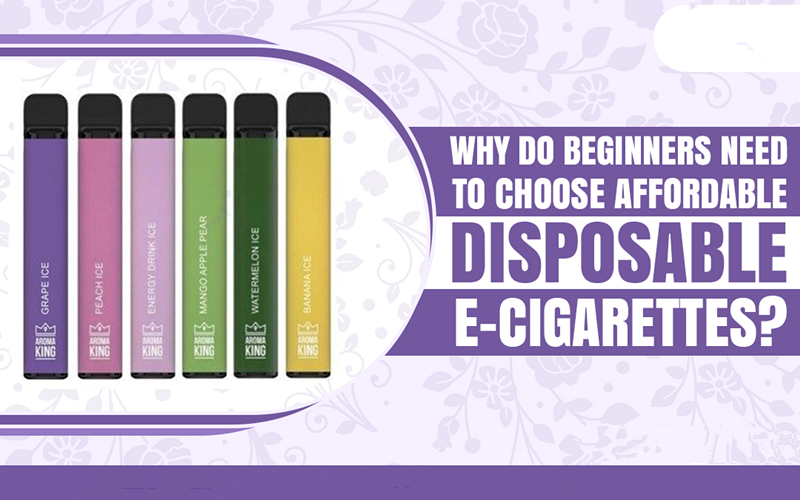 Why Do Beginners Need To Choose Affordable Disposable E-cigarettes?