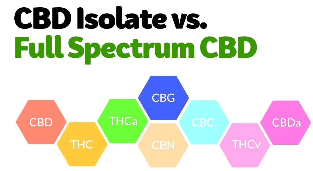 Isolate VS Full Spectrum VS Broad Spectrum CBD — Which One Should You Choose?