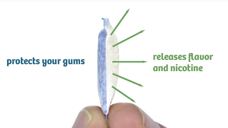 Science Advances But Policy Regresses: The Global War on Nicotine Pouches