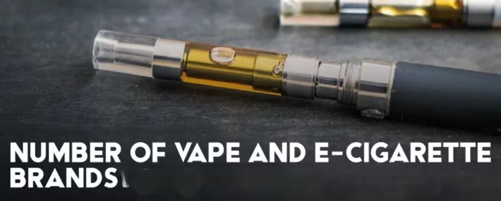 Who’s Using Disposable Vapes? Consumer Demographics and Preferences